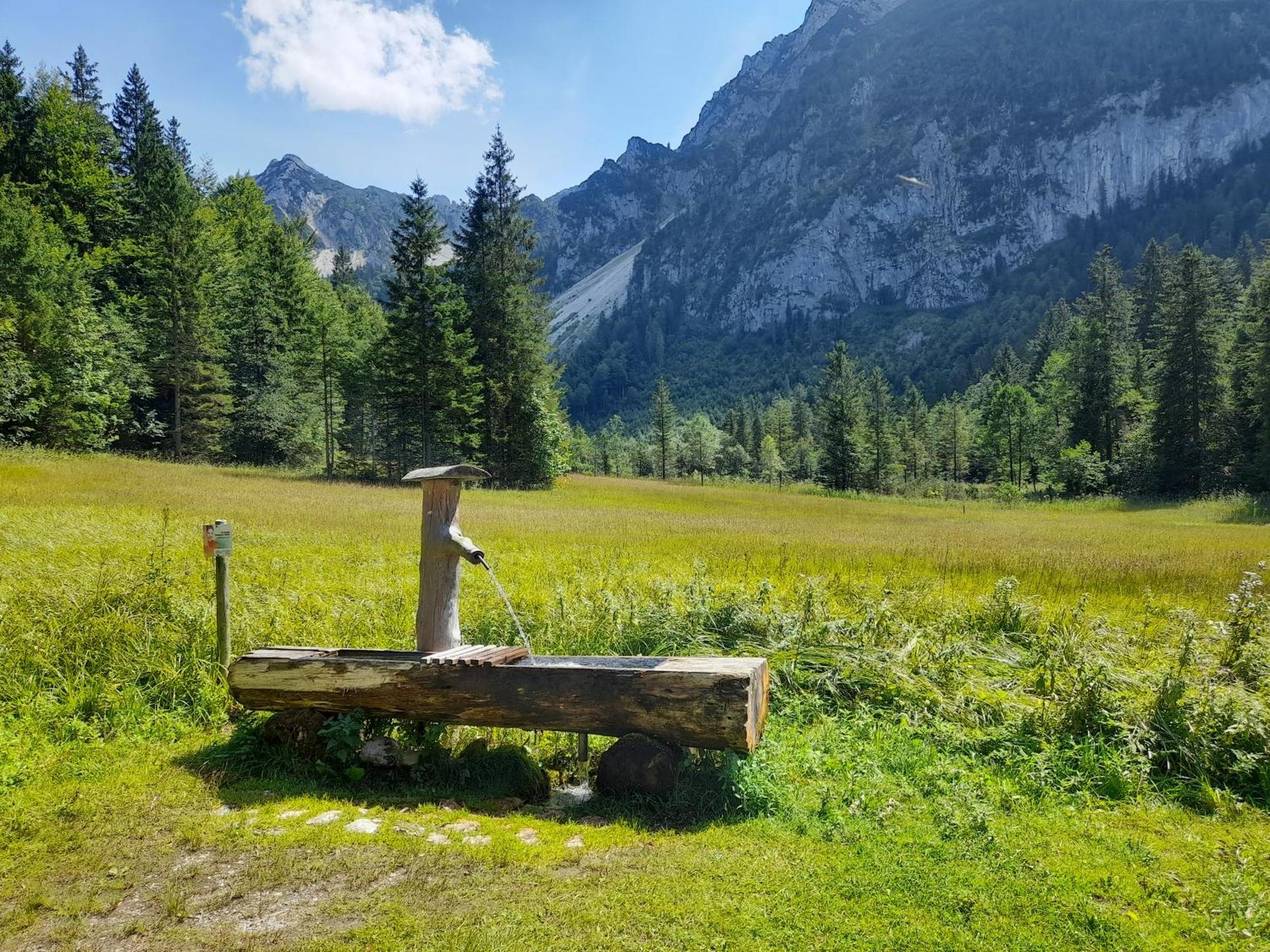 Im Naturgarten Teisendorf Exteriér fotografie